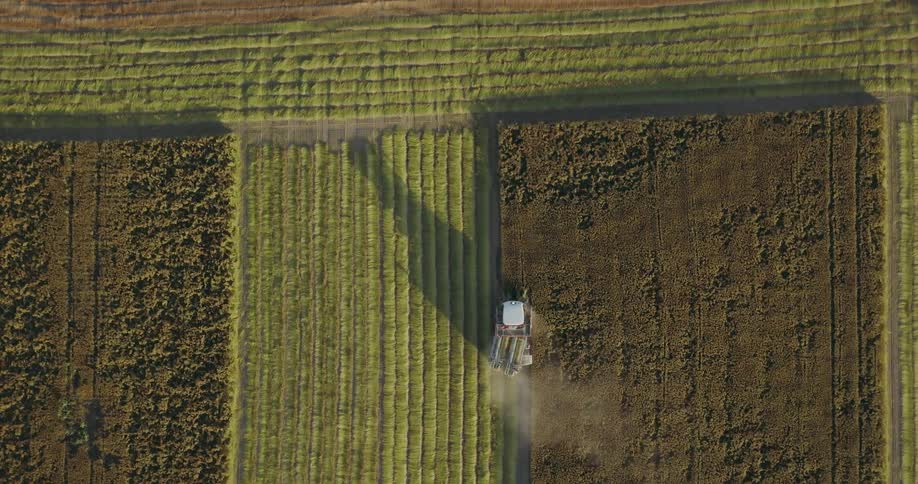 A tractor is plowing a farm field