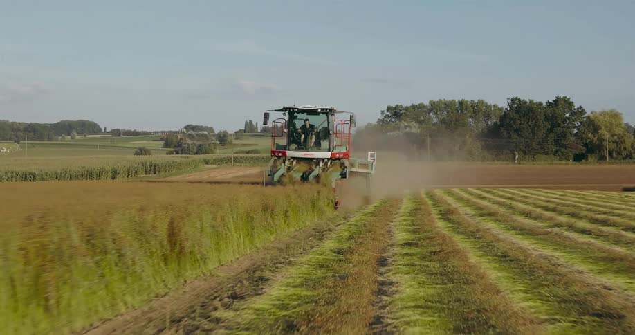 Combine harvesting crops on a field