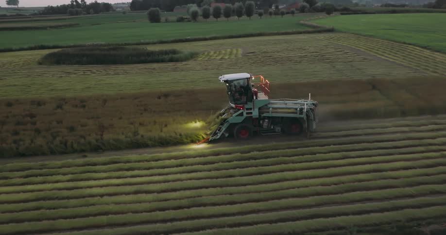 Tractor plows rows in field at dusk