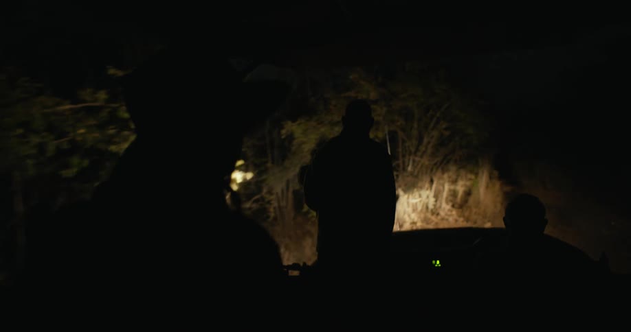 People are riding off road at night