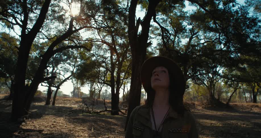 Woman stands in woods and looks around on sunny day