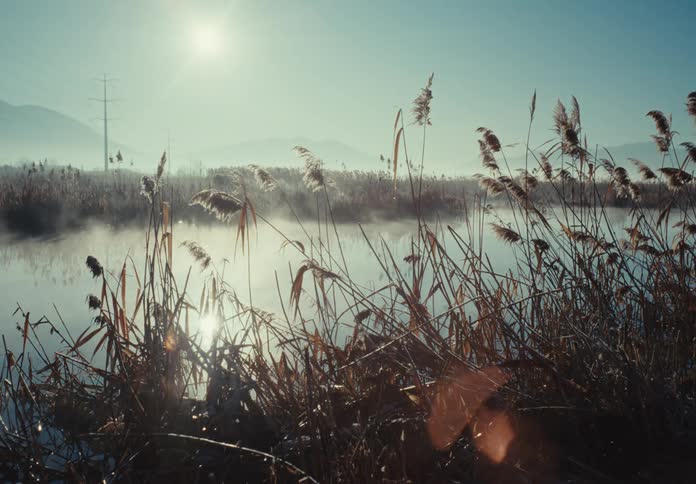 Mist over a river next to the mountains at morning