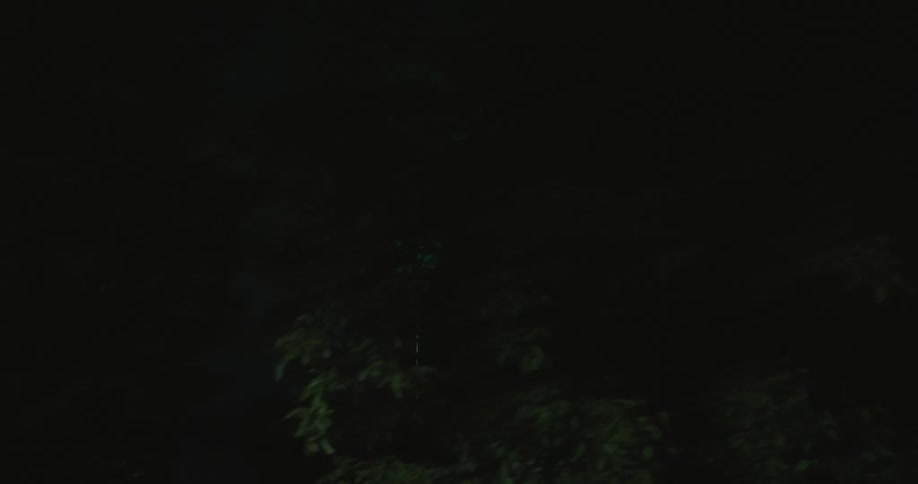 Green lights on a tower at night seen through the trees