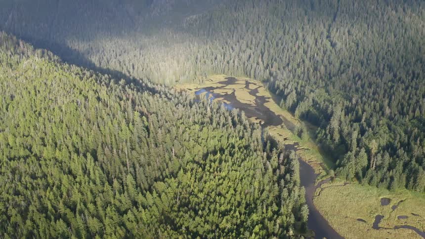 Aerial view of a river in the valley next to a mountain range