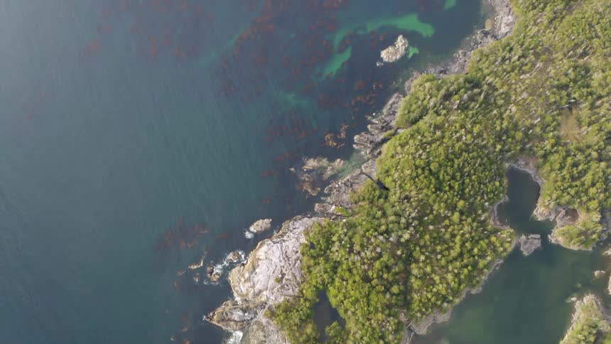 Topdown aerial view of the coastline of islands and islets in the Tongass National Forest Alaska