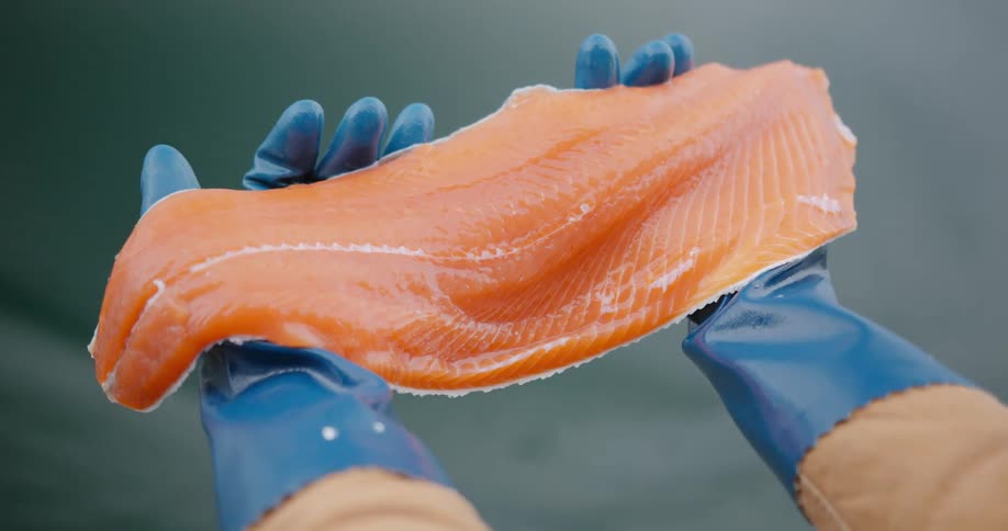 Fisherman holds a piece of fresh salmon