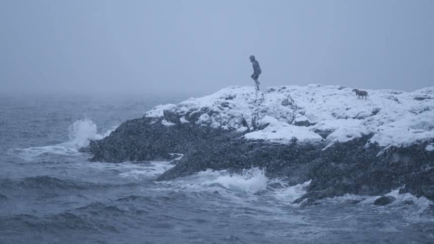 A person stands with a dog on the coast during a snow storm