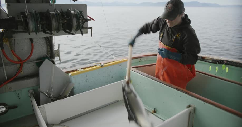 Fisherman catches salmon with a hook in his fishing boat
