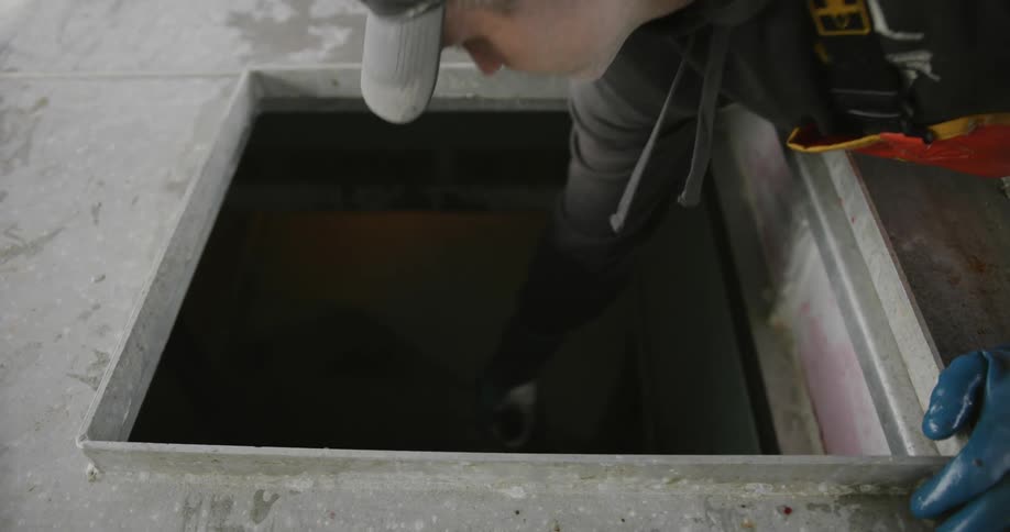 Fisherman storing fish in a large freezer