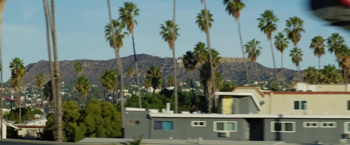 Palm trees and hollywood sign seen from a moving vehicle
