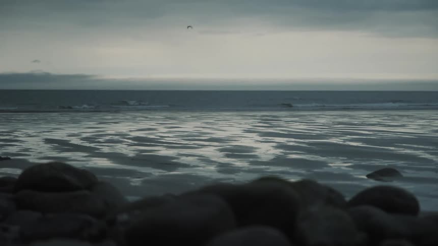 Seagulls fly over the water along the coast as waves roll into shore