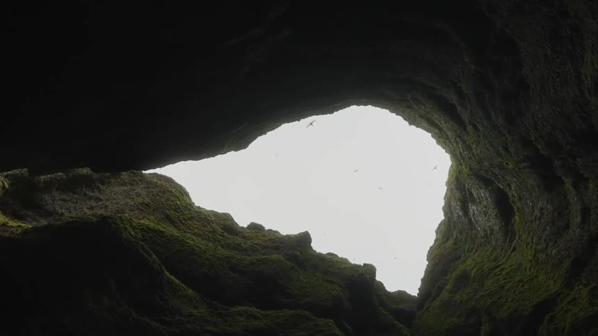 Birds glide and wheel in a cloudy sky framed by a rocky cave mouth