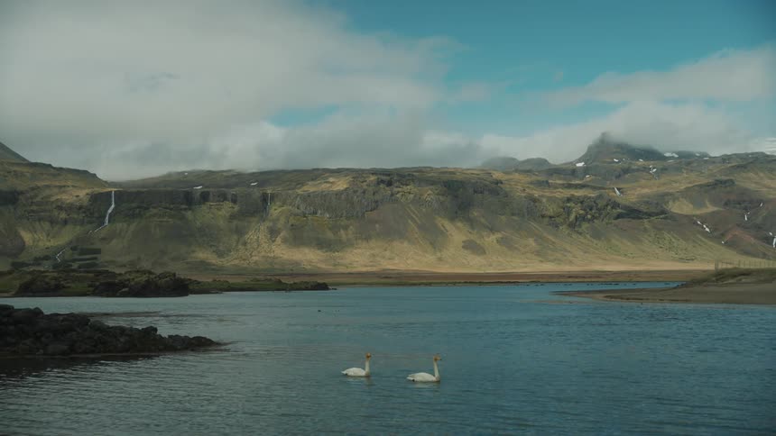 A pair of swan swim on a lake next to the mountains