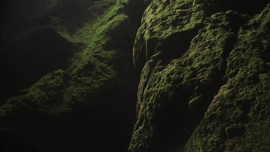 Interior of a cave with moss on the rocks