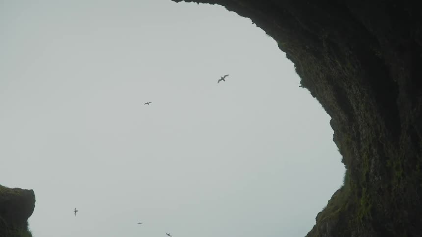 Birds flying over a large canyon