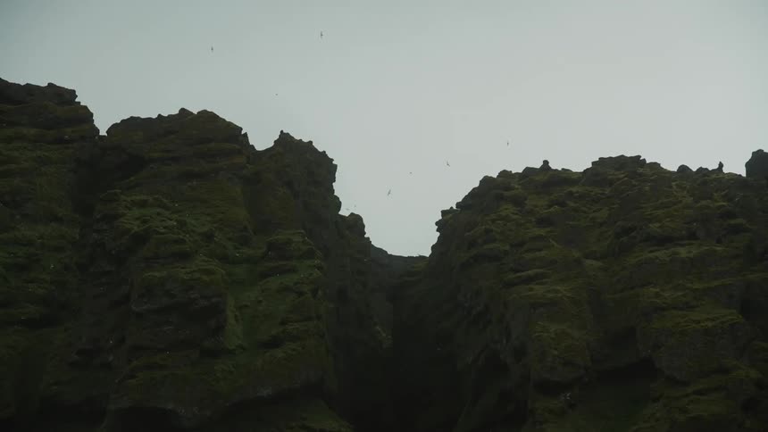 Birds fly over the mountain