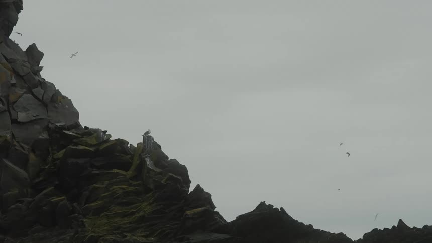 Birds flying over the ridge of a rugged mountain peak