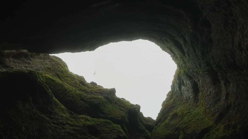 Seagulls flying in the sky seen from a cave opening