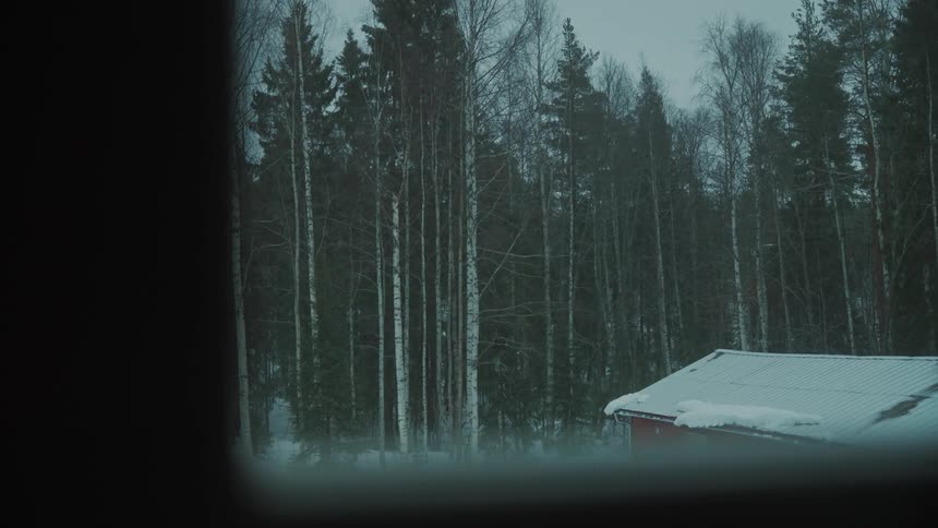 A cabin in the woods during a blizzard at dusk