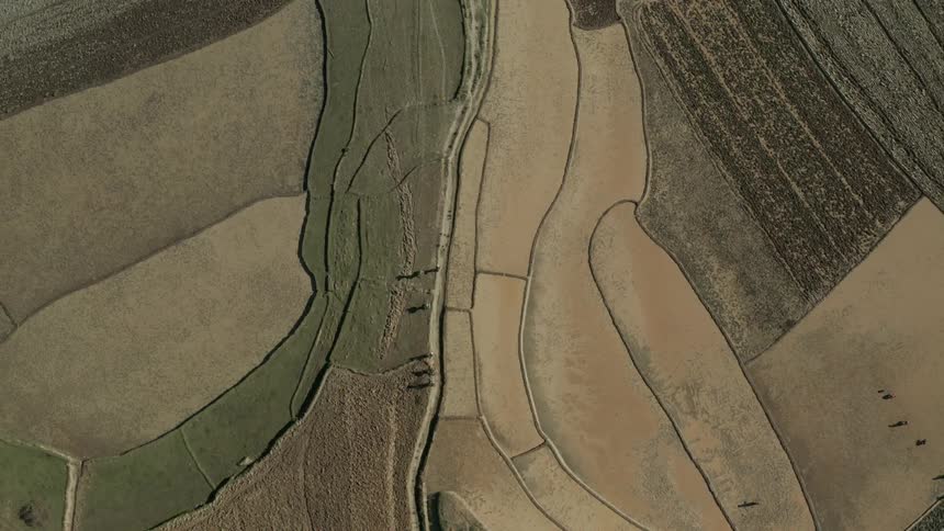 Some people walking on a path in a region of green colored soil