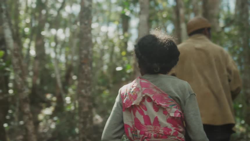 A man and a girl walk through the forest during the day