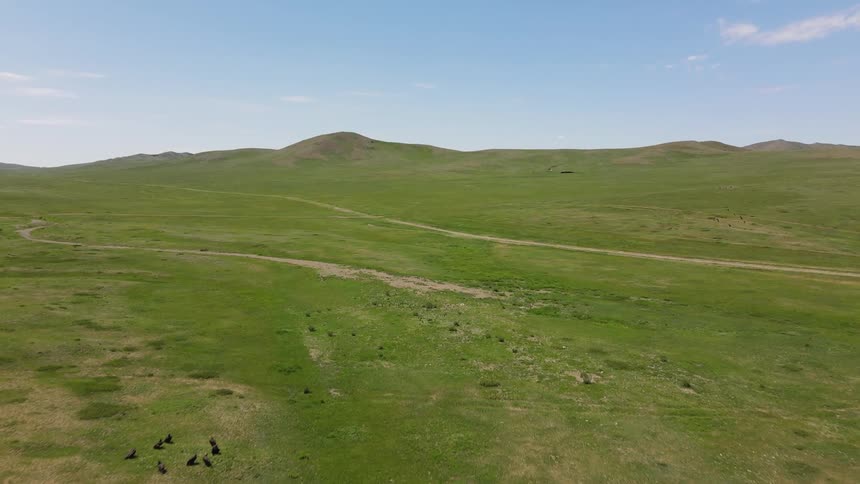 Animals can be seen below on an expansive and grassy plain