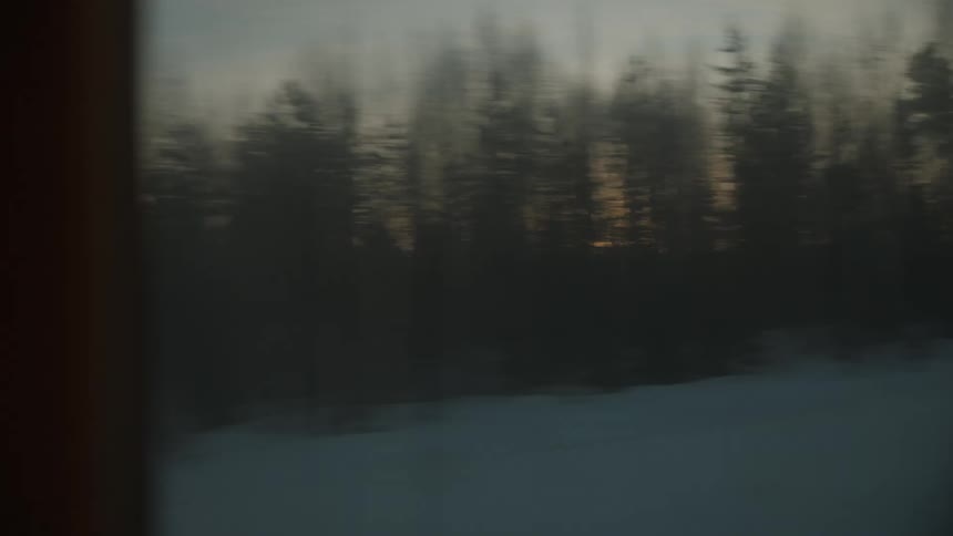 A forest passes by on a winter day from inside a train