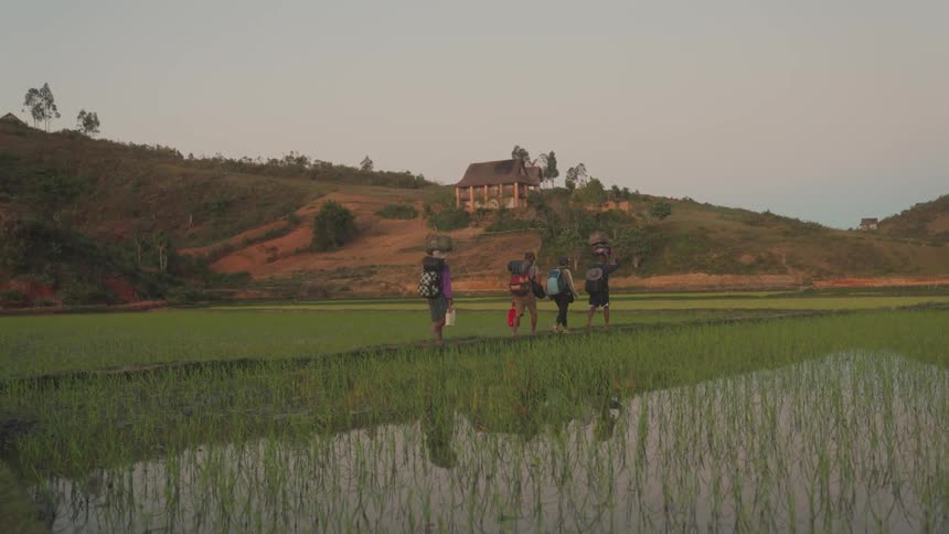 Hikers walk up a green field