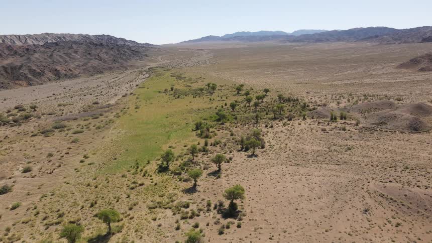 A desert region with some low vegetation and mountains on the horizon