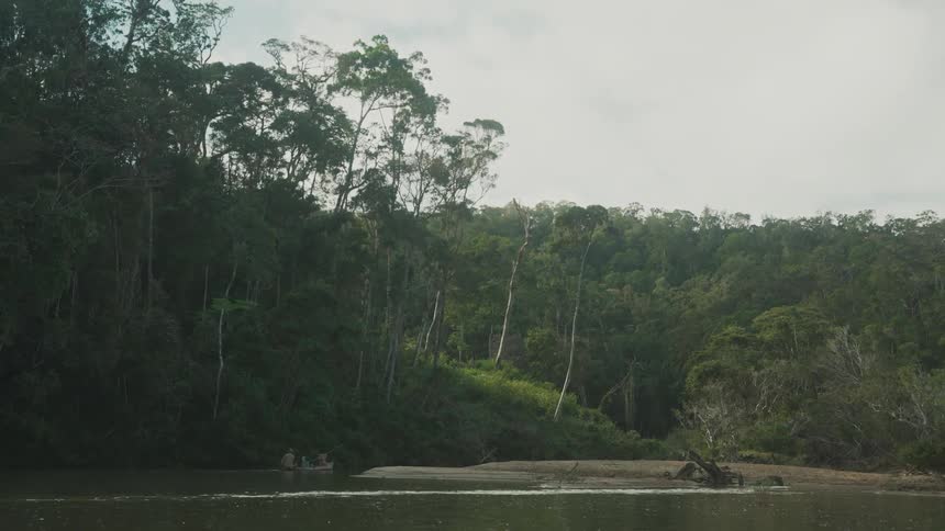 View of a lake with people in a canoe next to forests