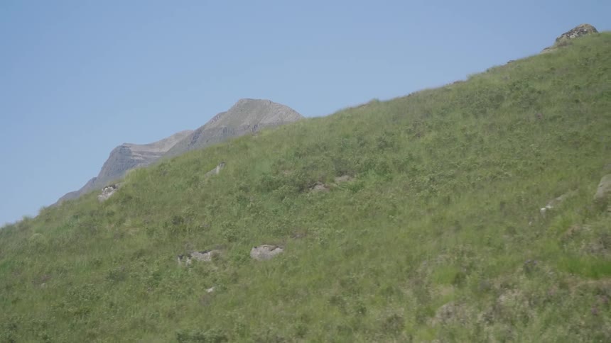 Green grass on the slopes of a mountain under the blue sky