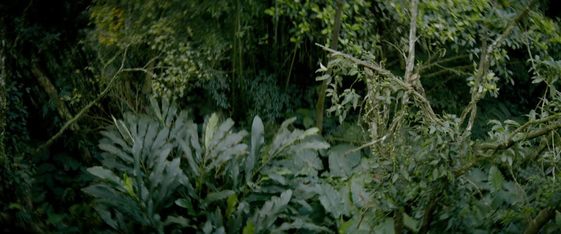A serene garden of green leafy plants and green tree shoots