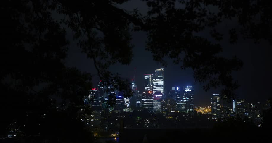 Tree branches silhouetted against city lights at night partially obscure downtown skyscrapers
