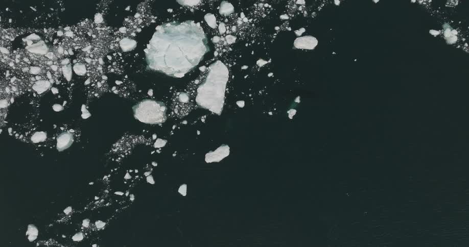 A clip of whales swimming in the arctic