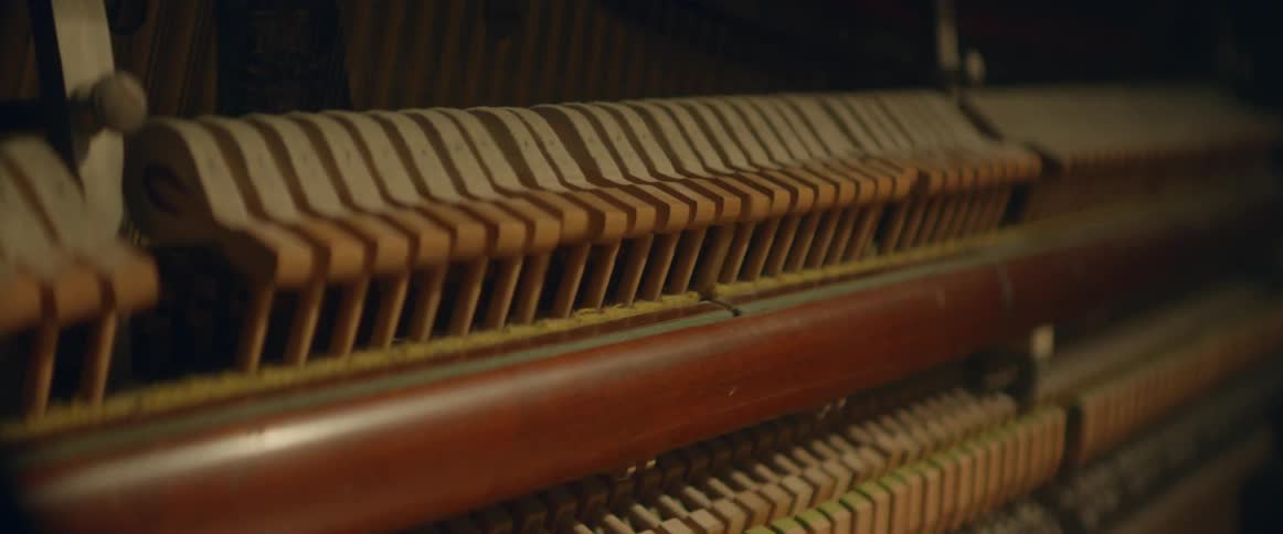 The many keys inside of a musical instrument are moving