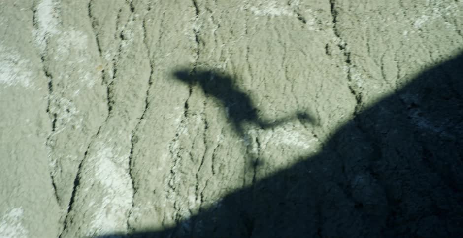 Shadow of a man running in the mountains