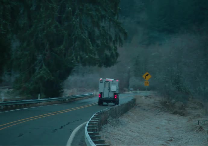 A car driving on an asphalt street with several signs and forest on the sides