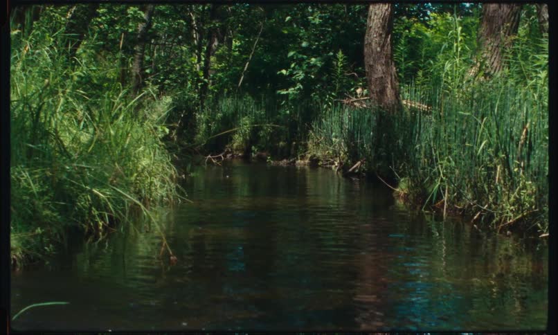 A small stream that passes through an area of grass and trees