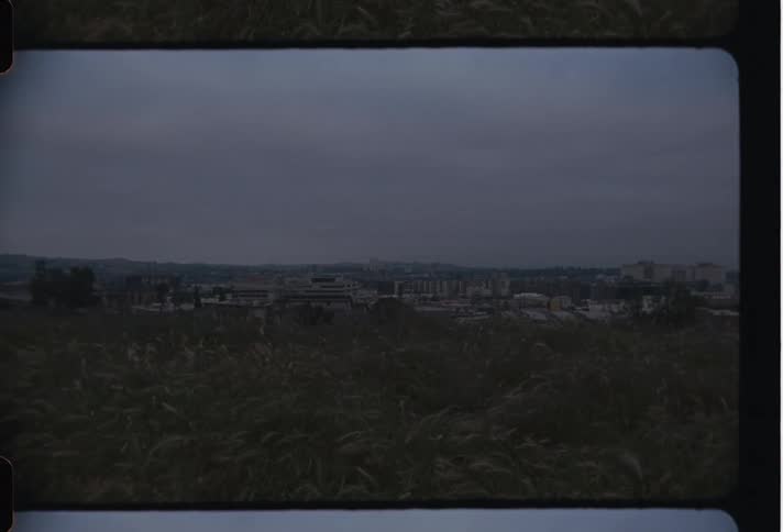 View from the ground with grass and in the background an urban city on a cloudy day