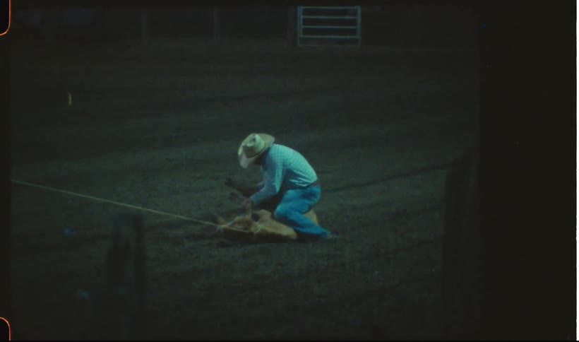 A rodeo cowboy tying up a calf