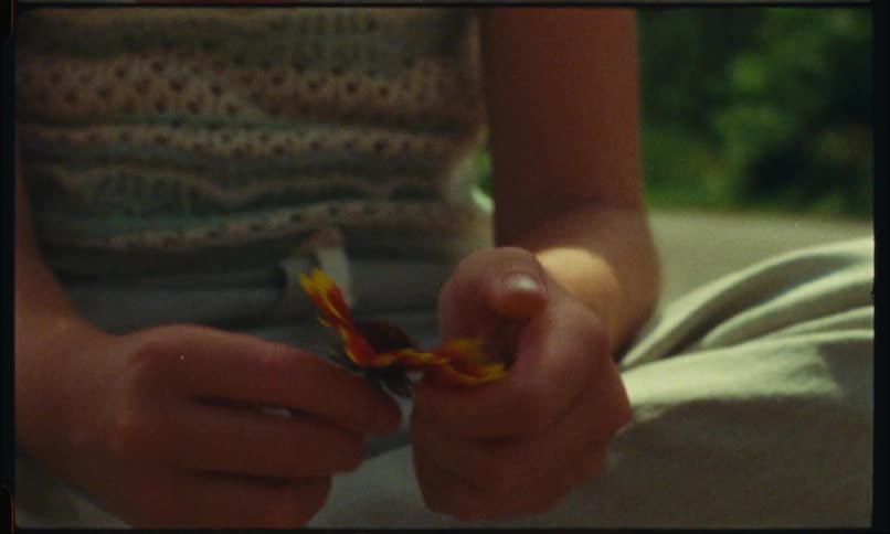 Girl playing with the petals of a flower