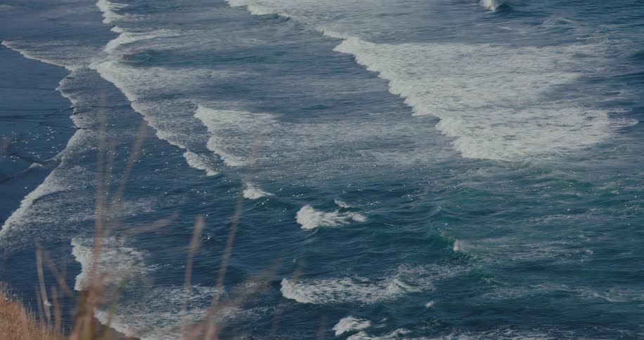 A flock of seagulls flying over the ocean waves