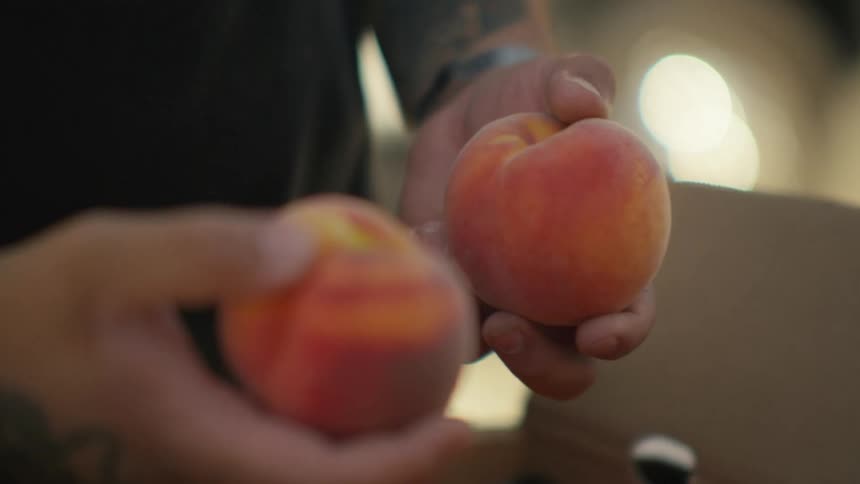 A man opens a box of plum fresh peaches