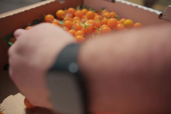A human hand opens a cardboard box and there are several orange berries inside