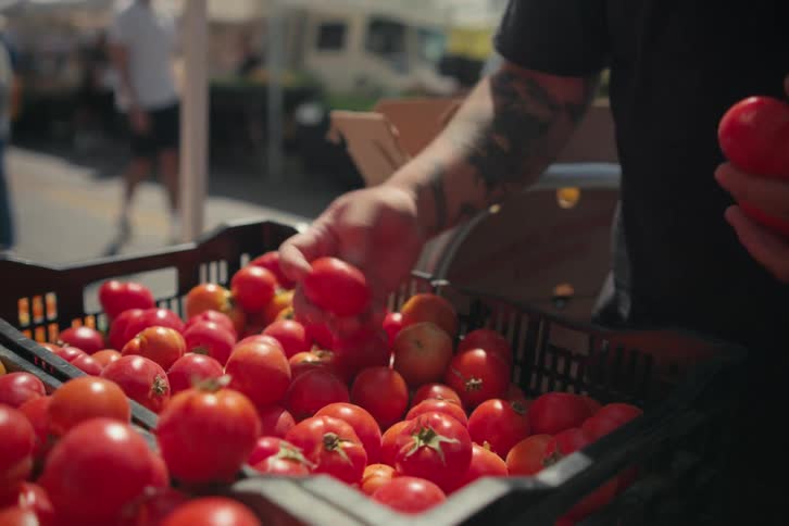 A man is picking through tomatoes