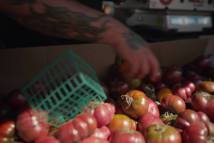 Close up of a person picking up tomatoes in the market