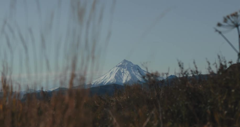 A huge mountain that is covered with snow on the horizon and in front and vegetation with grass