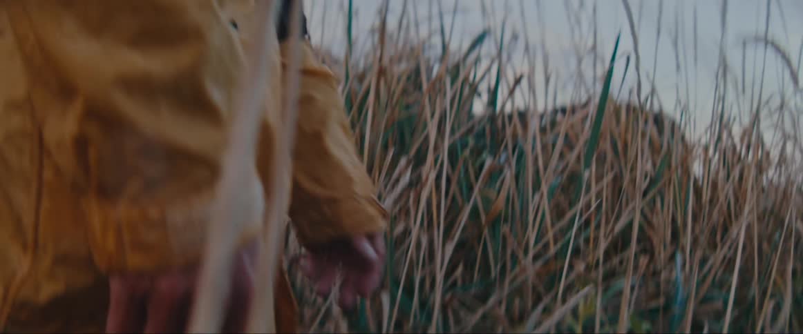 A person is walking through a region with a lot of tall grass
