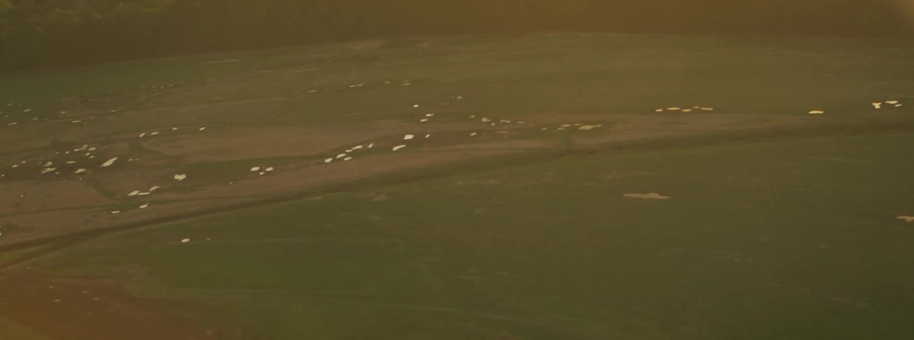 Aerial view of tree lined field during the day