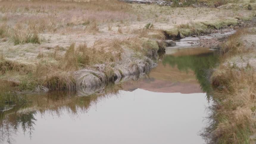 A creek surrounded by frozen grass